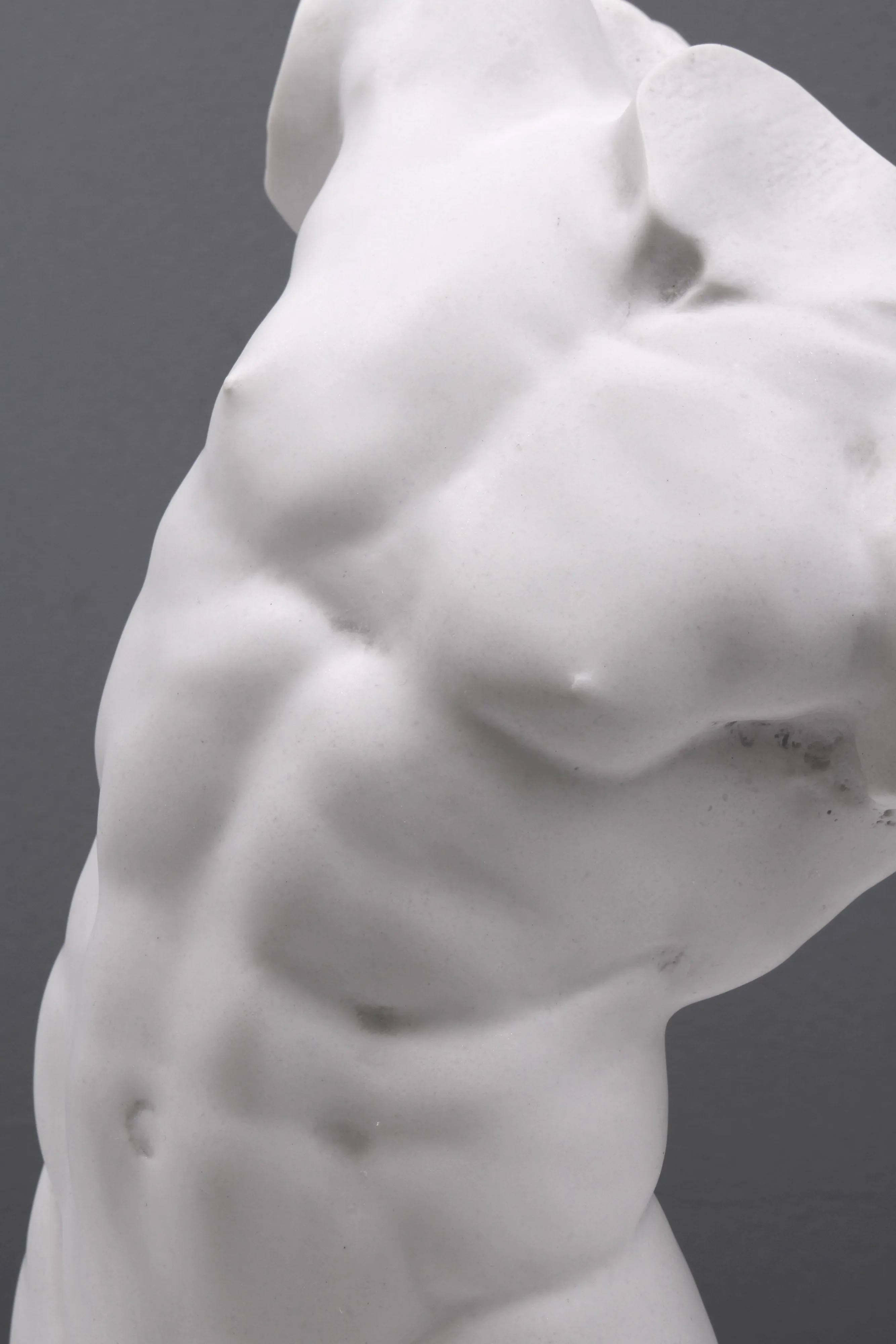 Adonis Statue - Study of a Male Torso (Small)